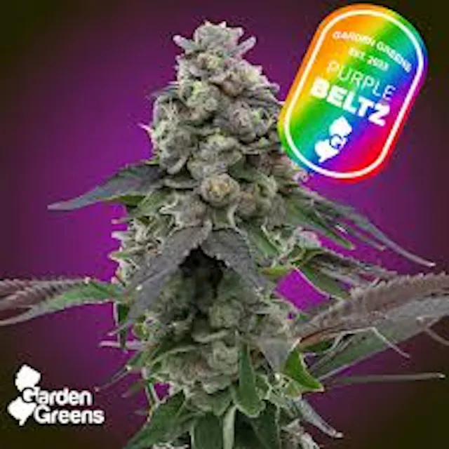 Garden Greens Flower Purple Beltz 3.5g (hybrid, whole flower)