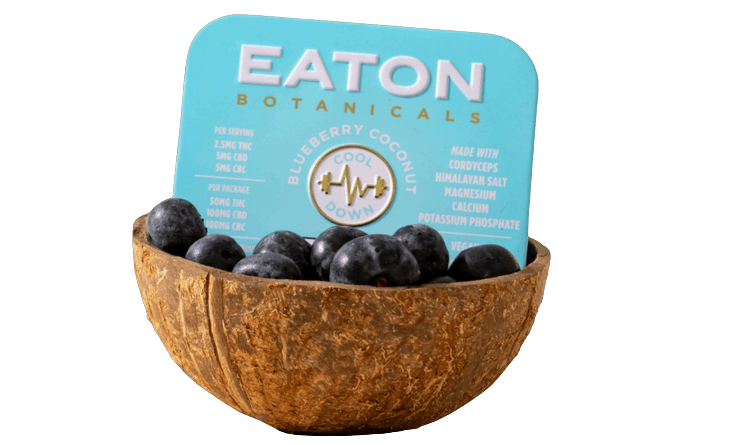 Coconut Cool-down  | Blueberry Coconut | 1:1:1 | 20pk