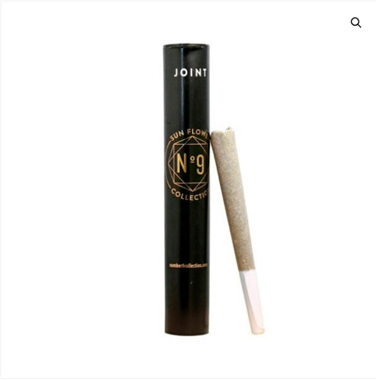 Photo of No.9 Jelly Donutz Preroll