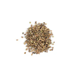 Seeds category image