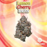 DELI - Pro Gro - Lemon Cherry Beltz - product image at King of Budz