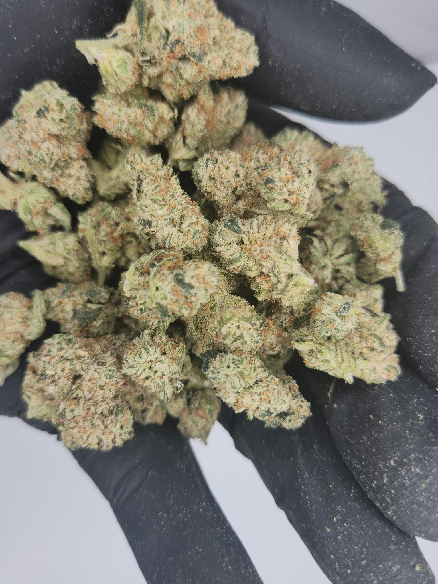 Product: Primo Danks | Bulk Bud - Animal Mintz