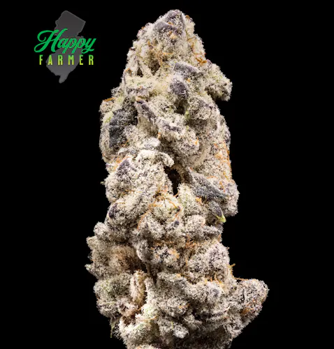Kacklesnatch 3.5g-H-1