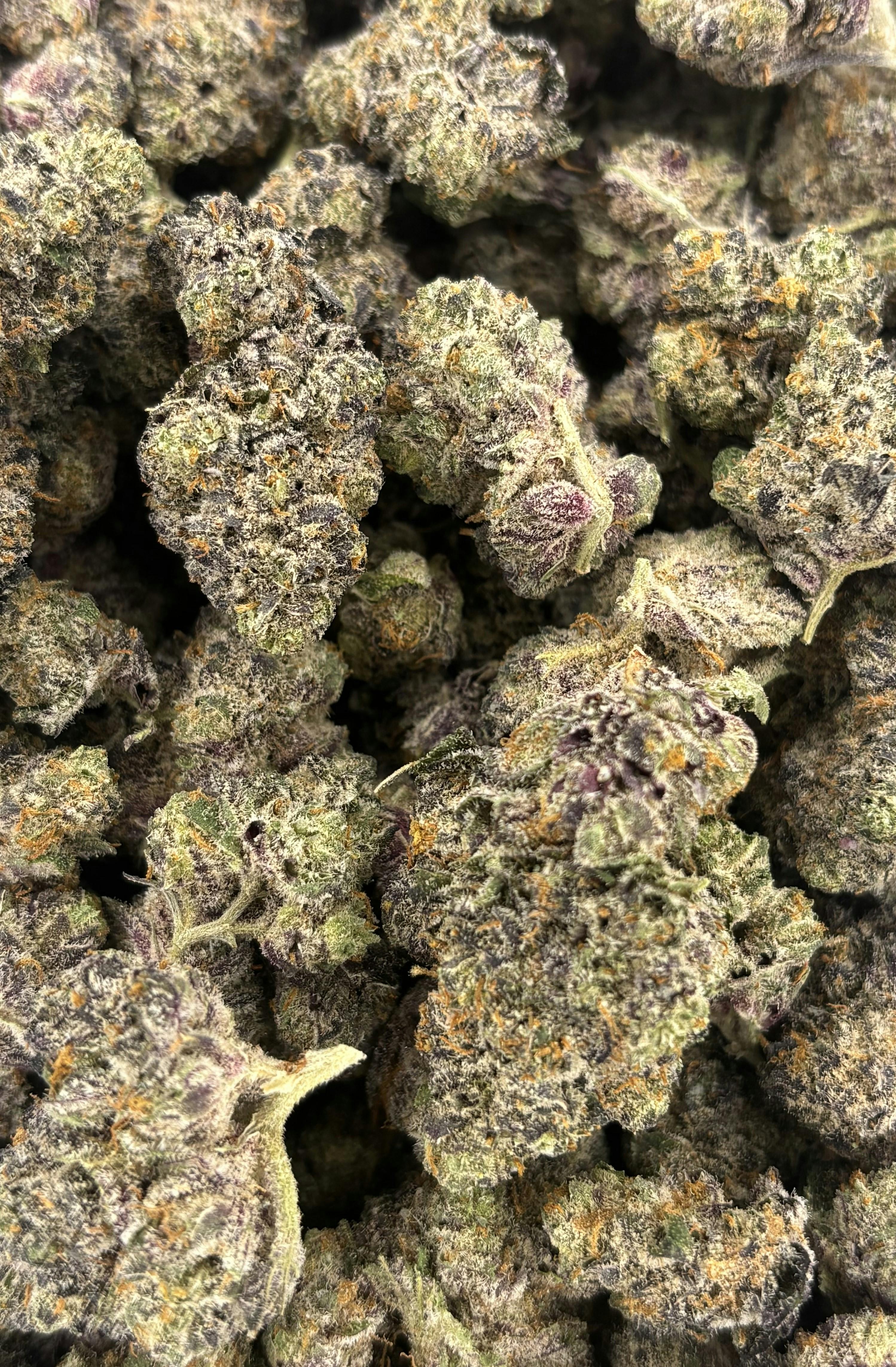 Pink Panties | Deli Flower (Silver)