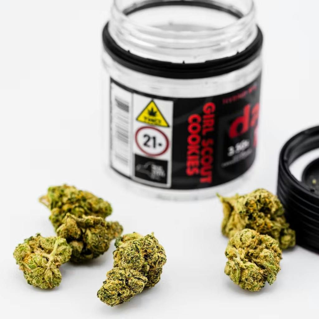 GIRL SCOUT COOKIES-2