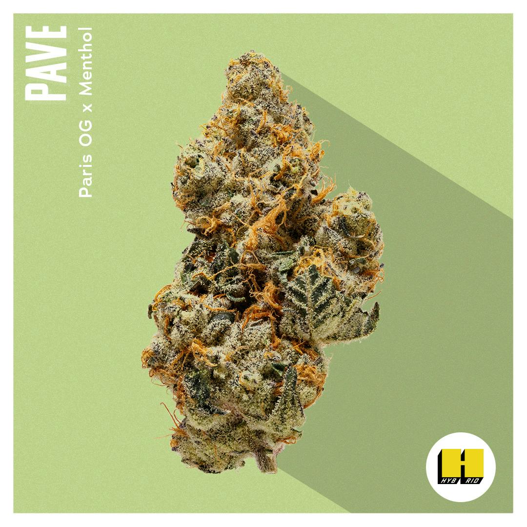 Flower - Pave