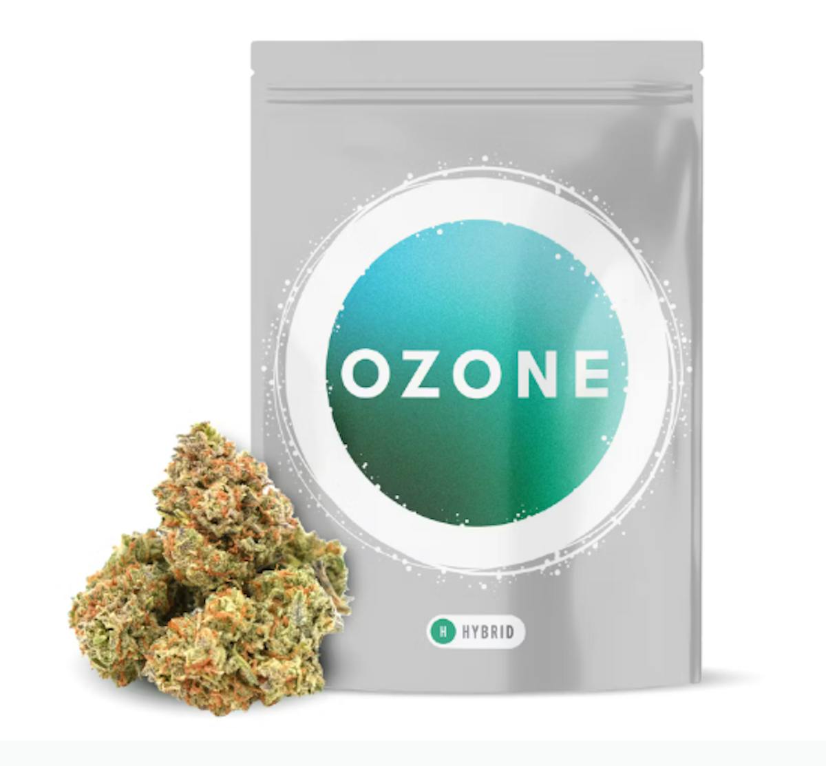Photo of Ozone Robusta