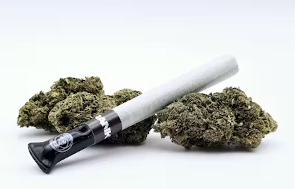 Product Infused Preroll | Banana Kush (S) Outrankd