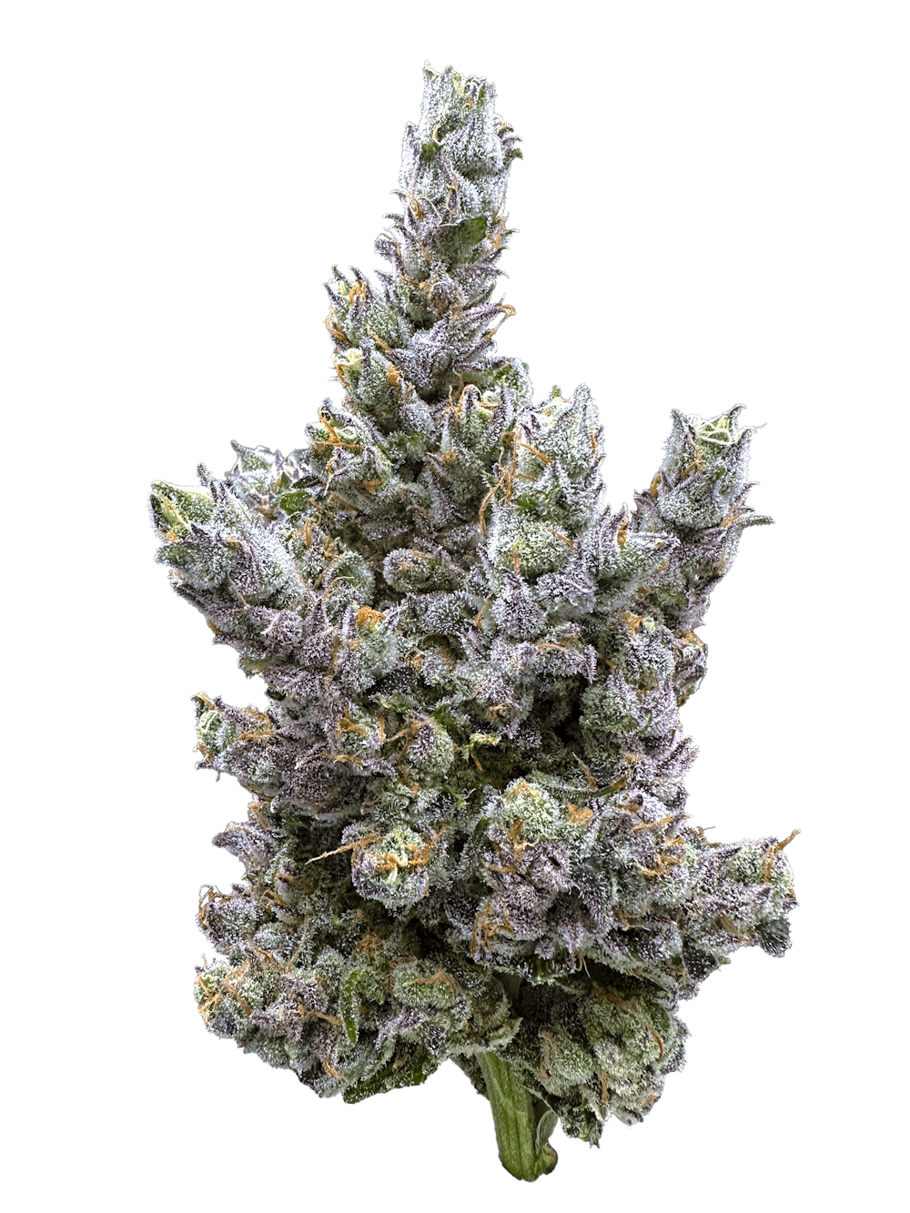 Product Glue Dream - Flower
