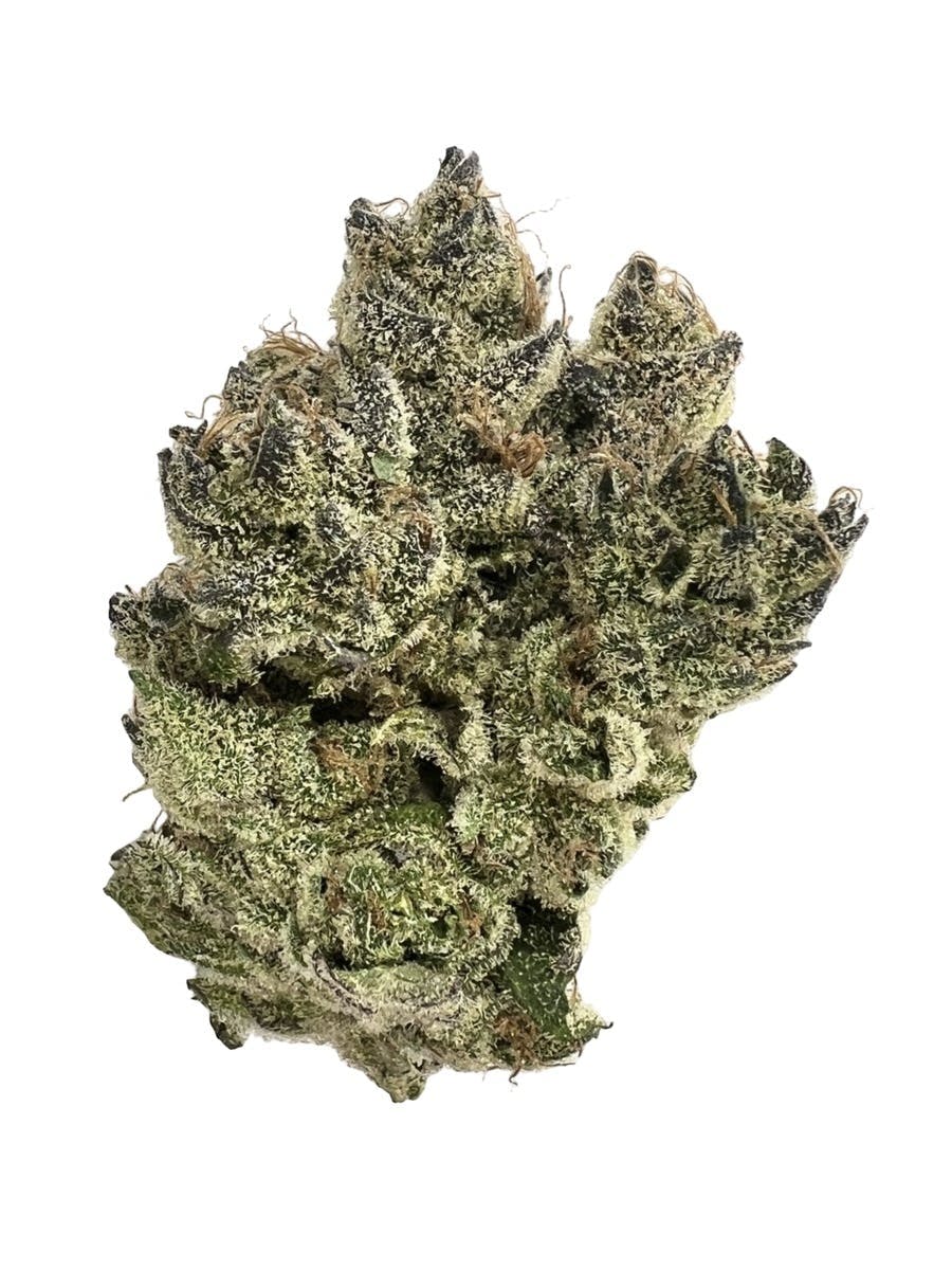 DISTRO 10 DISTRO 10 | DOG WALKER | BULK | INDICA — FLOWER
