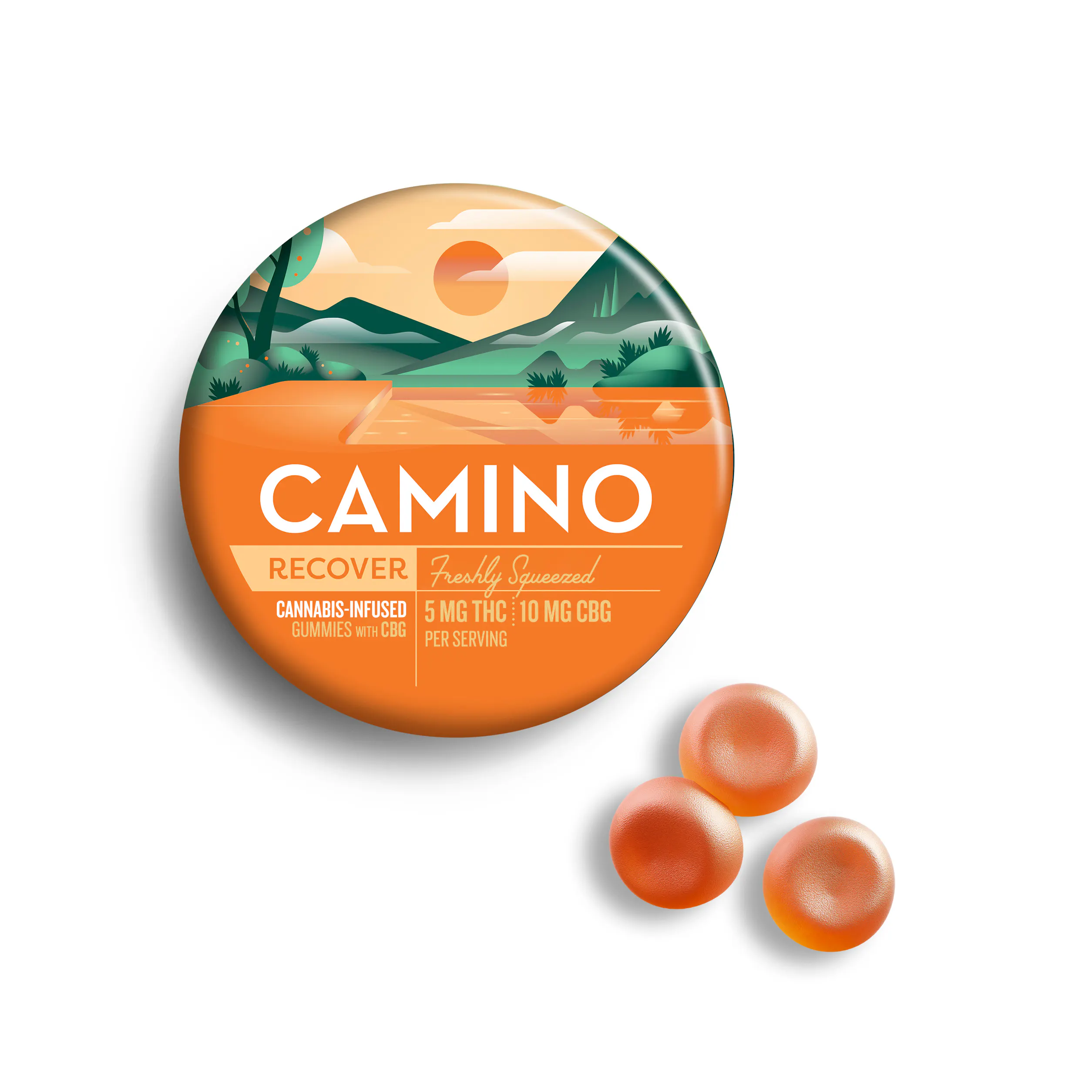 Camino | INSA Inc. Hartford Brainard Rd- Adult Use