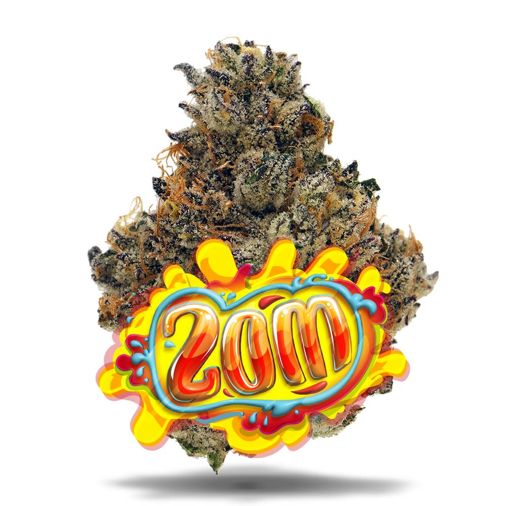 ZOM #6 - Premium Flower | Jungle Boys - Deerfield Beach