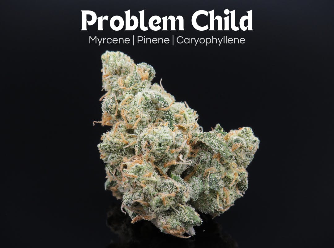 weed Problem Child 2.83g (Indica) | Farkas Farms | Canton - OCC