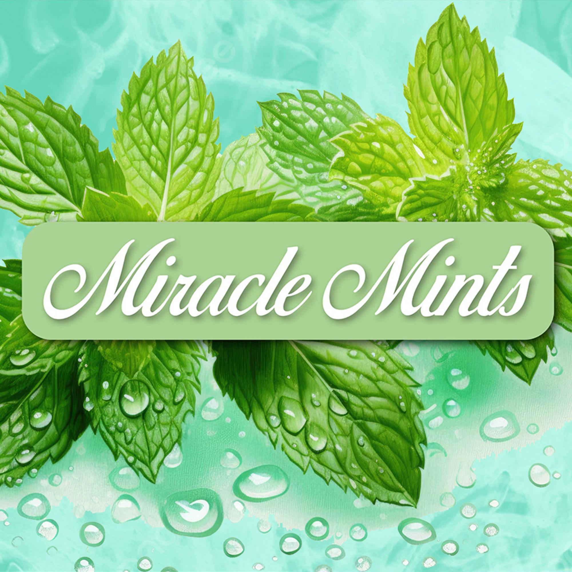 Dragonfly - 3.5g - Miracle Mints