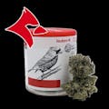 Redbird: Orange Cookies