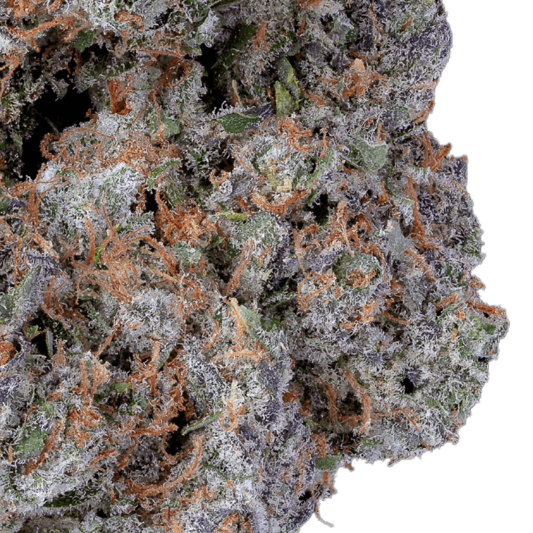 Native Sun Next Level | Flower | 3.5g - Native Sun Cannabis