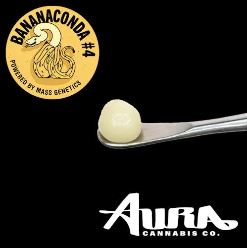 Product: Aura | Bananaconda | Premium Live Rosin