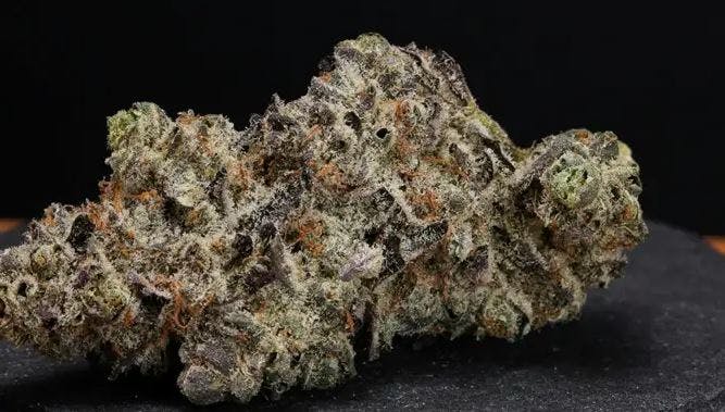 Product Ceaze n' Dezizt Buds