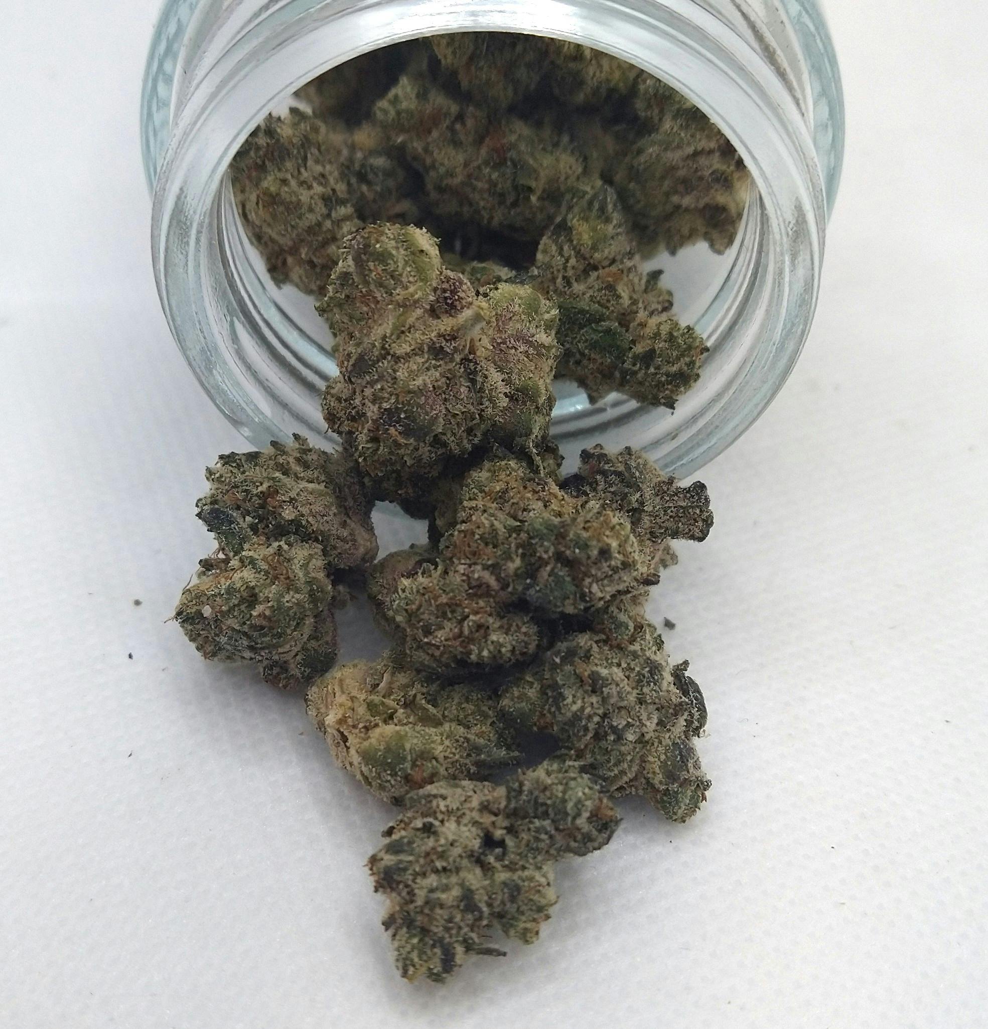 Product: Goldkine | Ice Cream Man | Hybrid | Bulk Flower | Platinum