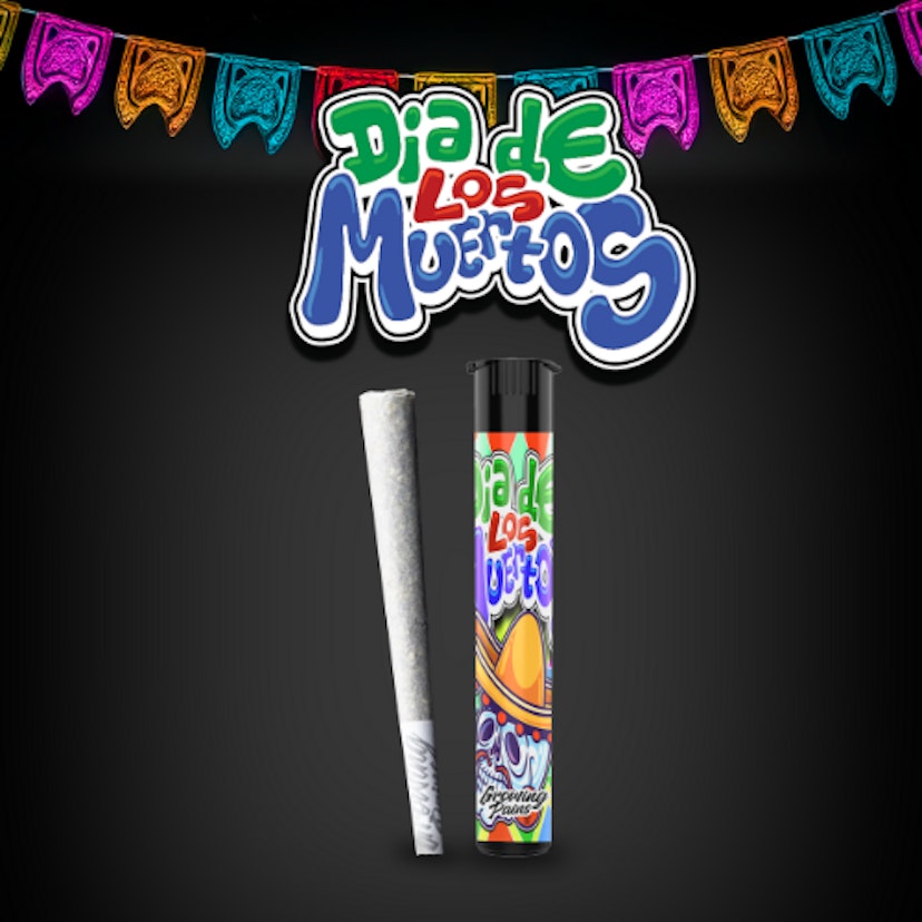 Growing Pains - Los Muertos Pre-Roll