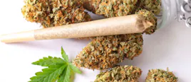 Pre-Rolls category image