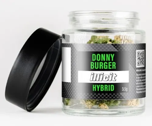 Donny Burger-1