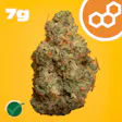 Grand Pappy's Chillemon Pre-Packed