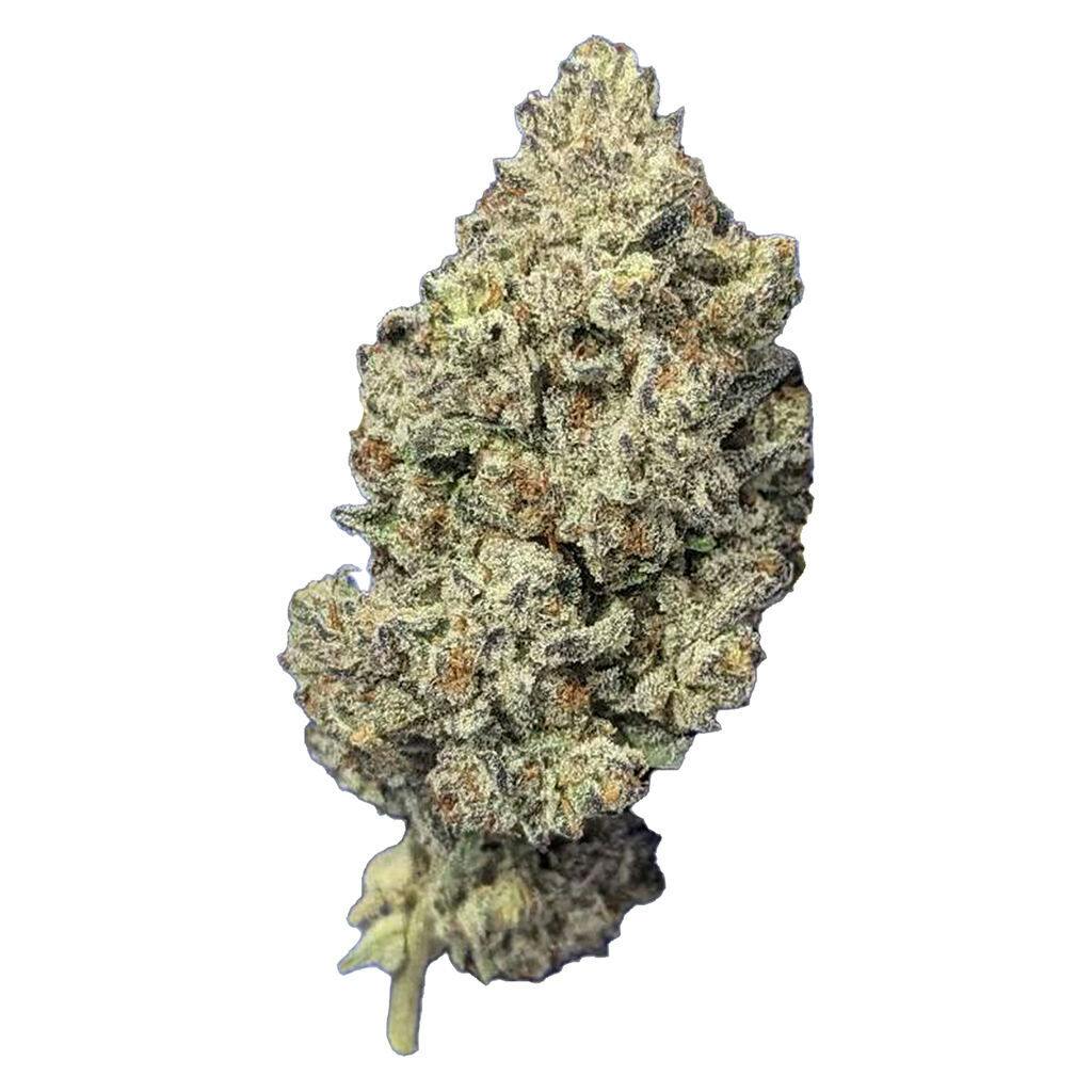 Flower | Papa's Herb - Astro Pink - Hybrid