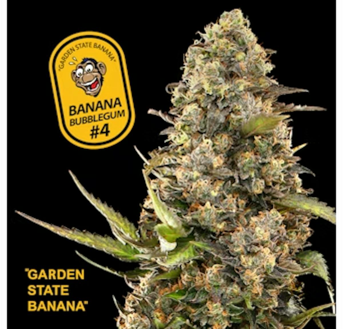 Photo of Bubblegum #4 7G Ground RTR