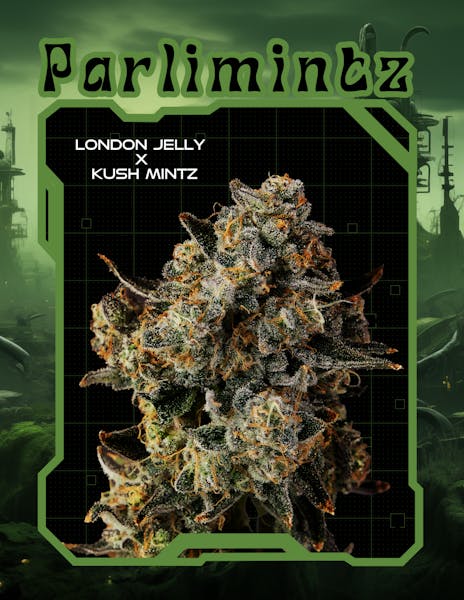 Parlimintz | 3.5g | Top Cut | Flower | Realm