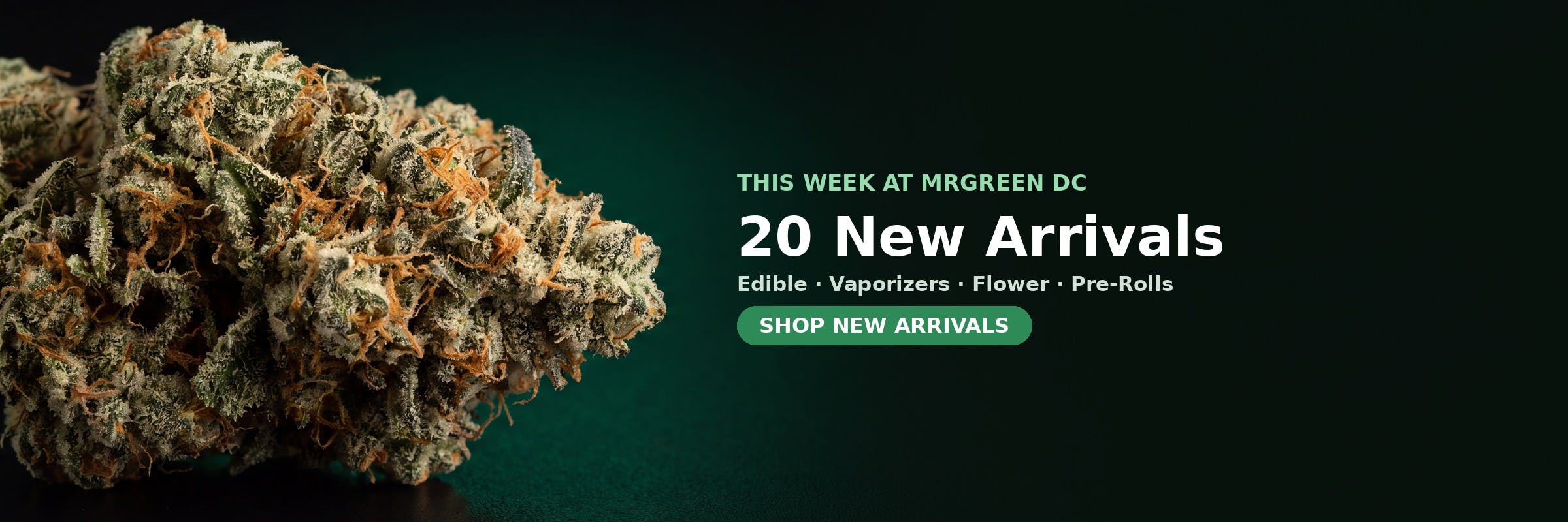 20 new arrivals this week at MrGreen DC