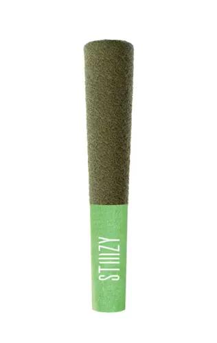 Stiiizy Gelato 5pk Infused Prerolls Rec-1