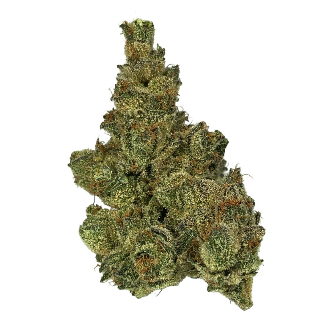 AU Rare Michigan Sirius Cookies North Coast Provisions