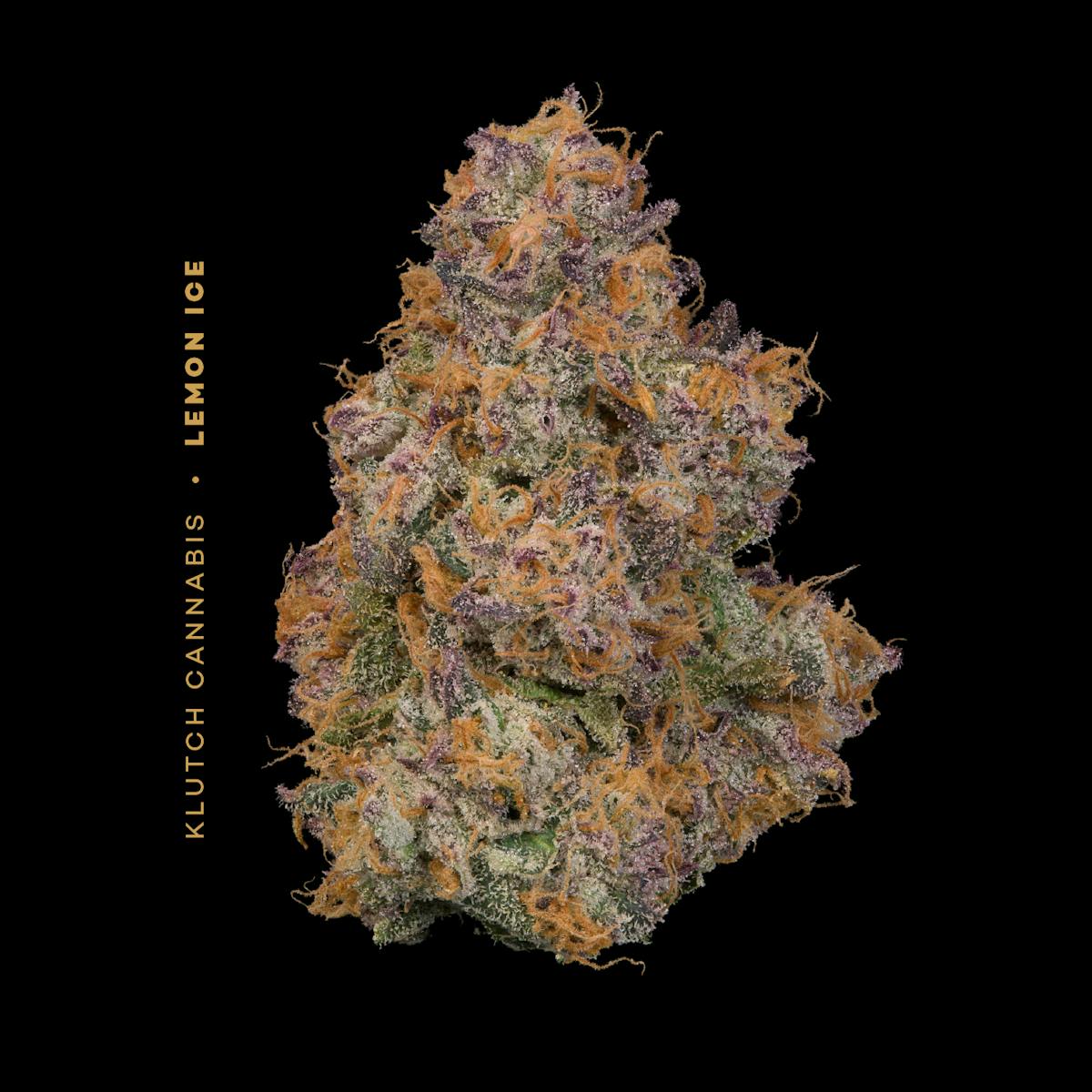 Photo of | Lemon Ice |