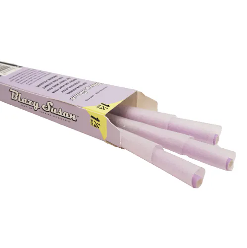 Blazy Susan | Purple Cones 1 1/4-2