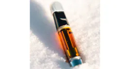 Vaporizers category image