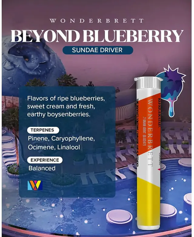Wonderbrett Pre-Roll Beyond Blueberry .7g (hybrid, singles)
