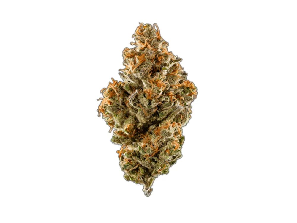 Rev Farms Astronaut Ice Cream Buds Malden, MA Misty Mountain Shop