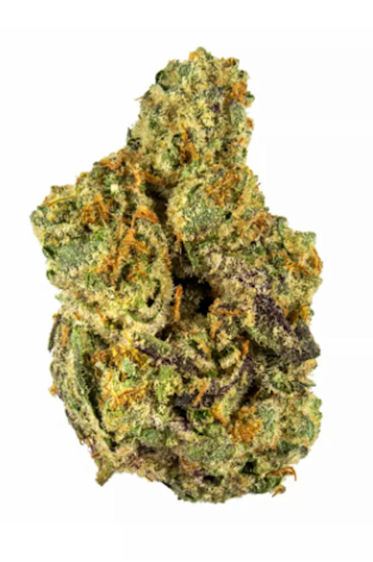 Image of Gary Payton | 3.5g
