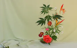 Flower category image