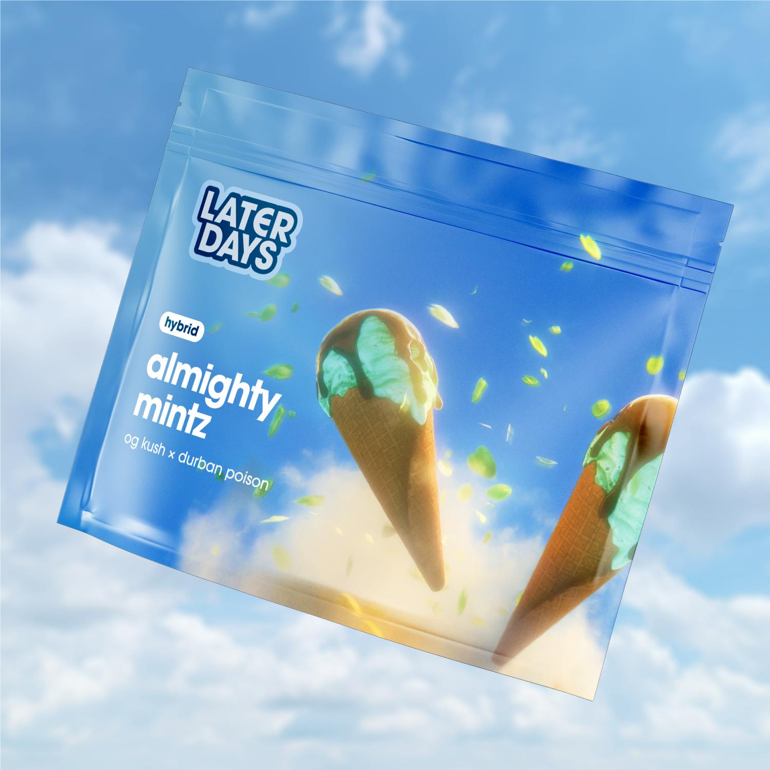 Later Days Almighty Mintz