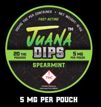 Product: Dip | Spearmint Pouches [20pk]