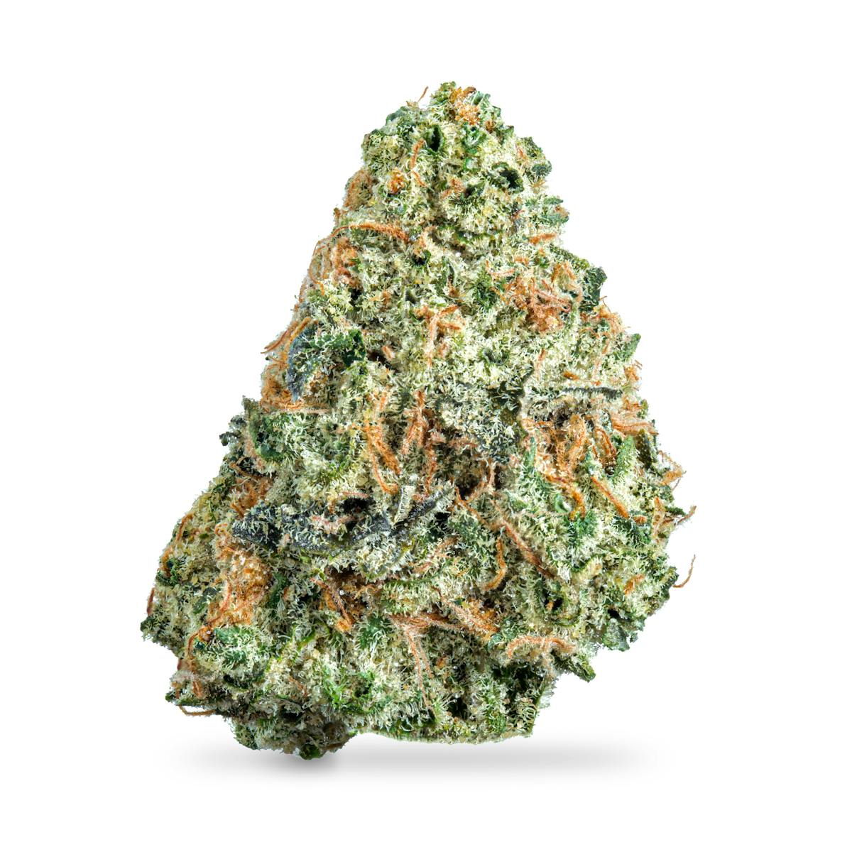 Photo of Glitter Bomb