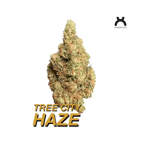 Tree City Haze | Flower | 3.5g-active