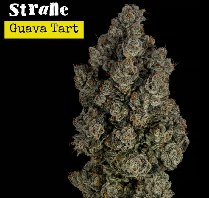 Photo of Guava Tart | 3.5g