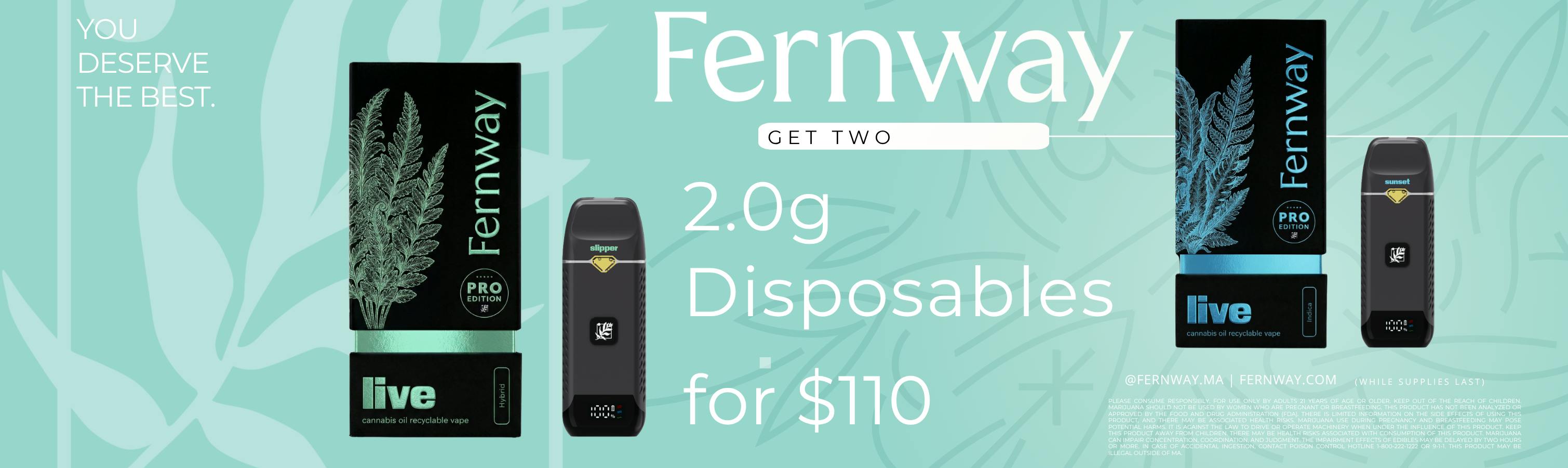 fernway, traveler pro, fernway pro, disposable, 2g vape, 2g dispo, cheap 2g vape, deals on vapes, deals on 2g disposables, promo disposable, fernway deals, cheap fernway