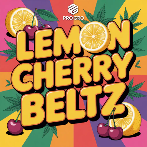 DELI - Pro Gro - Lemon Cherry Beltz