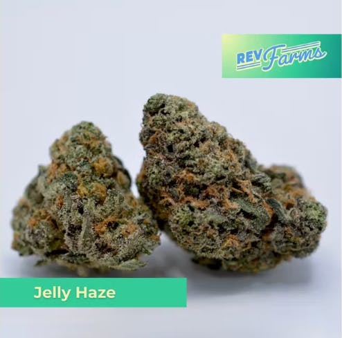 image of Jelly Haze Flower