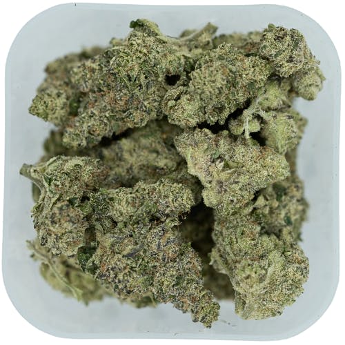 Product Image Alt