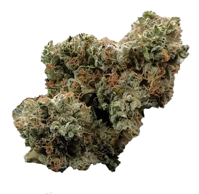Strawberryflower MPX Select Strawberry Z Flower | GrowHealthy